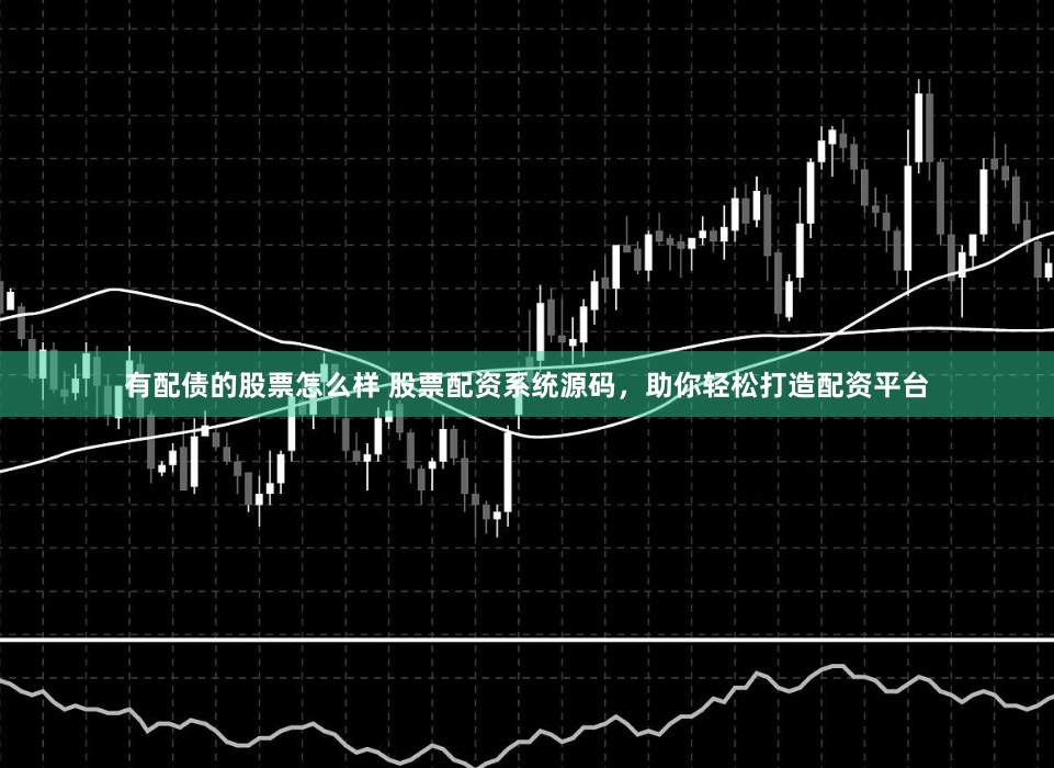 有配债的股票怎么样 股票配资系统源码，助你轻松打造配资平台