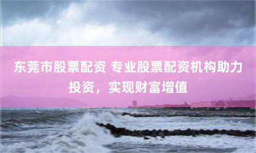 东莞市股票配资 专业股票配资机构助力投资，实现财富增值